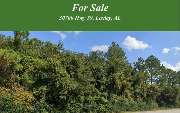 30700 Hwy 59 Loxley Commercial Property For Sale